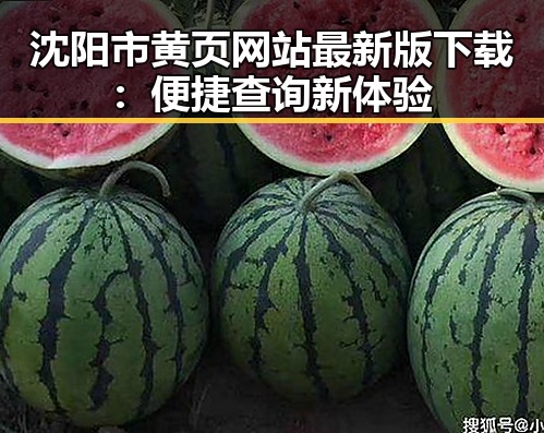 沈阳市黄页网站最新版下载：便捷查询新体验