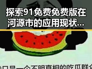 探索91免费免费版在河源市的应用现状与发展