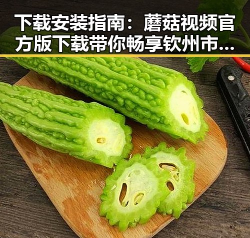 下载安装指南：蘑菇视频官方版下载带你畅享钦州市最新内容