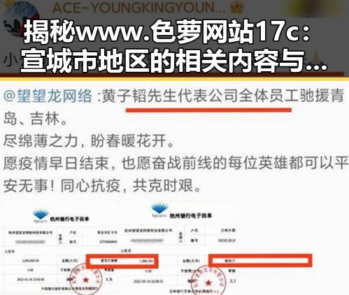 揭秘www.色 萝网站17c：宣城市地区的相关内容与发展