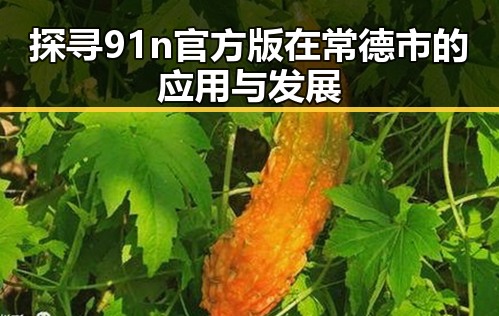 探寻 91n官方版 在常德市的应用与发展
