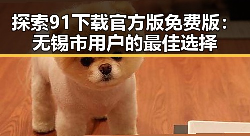 探索91下载官方版免费版：无锡市用户的最佳选择