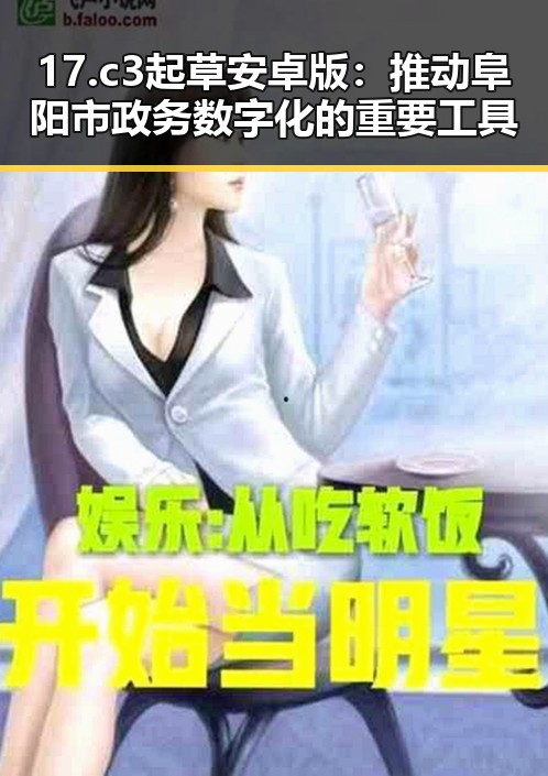 17.c3起草安卓版:推动阜阳市政务数字化的重要工具