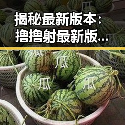 揭秘最新版本：撸撸射最新版下载的实用指南