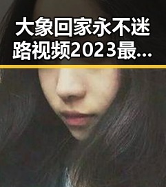 大象回家永不迷路视频2023最新版：让你感受自然的奇迹