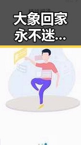 大象回家永不迷路视频2023最新版：让你感受自然的奇迹