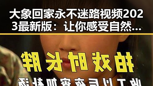 大象回家永不迷路视频2023最新版：让你感受自然的奇迹