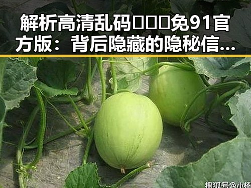 解析高清乱码🔞❌♋免91官方版：背后隐藏的隐秘信息与行业影响