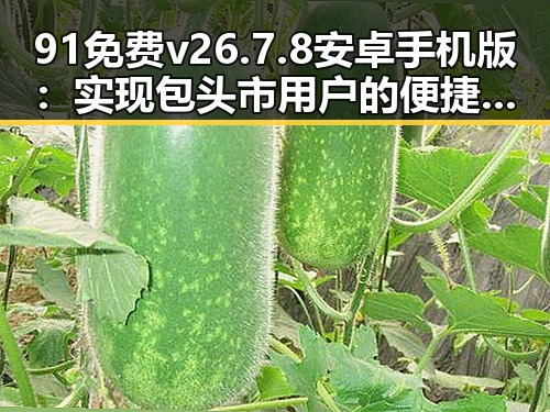 91免费v26.7.8 安卓手机版：实现包头市用户的便捷体验