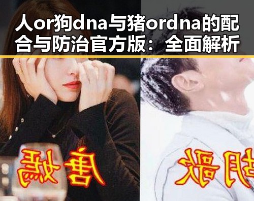 人or狗dna与猪ordna的配合与防治官方版：全面解析