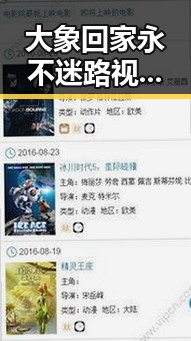 大象回家永不迷路视频2023最新版：记录感人瞬间的最新版本