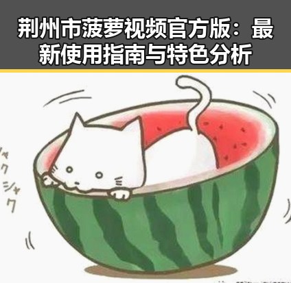 荆州市菠萝视频官方版:最新使用指南与特色分析