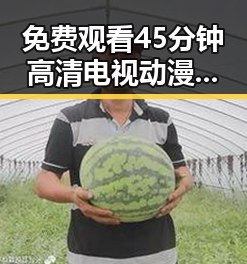 免费观看45分钟高清电视动漫：白银市最新在线观看体验分析