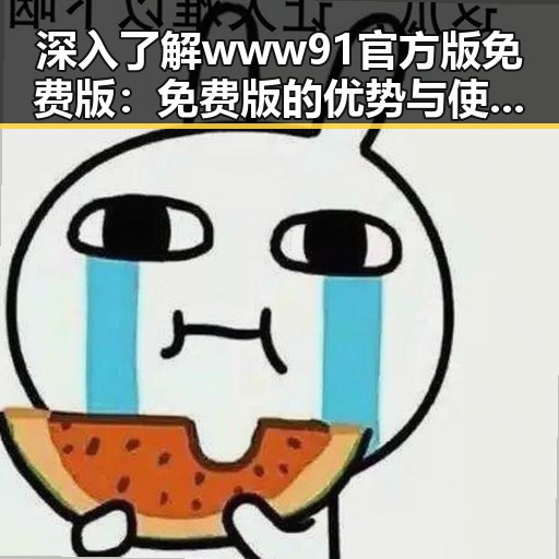 深入了解www91官方版免费版：免费版的优势与使用指南