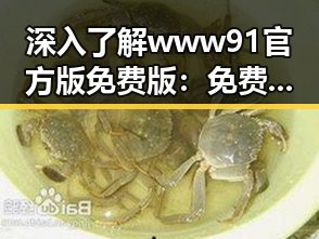 深入了解www91官方版免费版：免费版的优势与使用指南