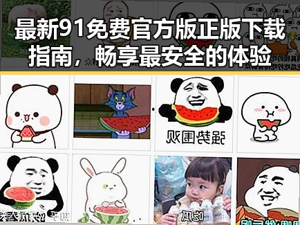 最新91免费官方版正版下载指南，畅享最安全的体验
