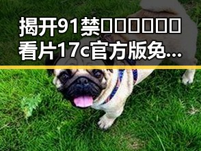 揭开91禁🍆🍑🔞❌❌❌看片17c官方版免费版的真实面貌