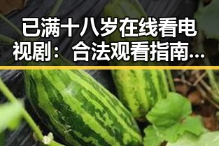 已满十八岁在线看电视剧:合法观看指南与注意事项