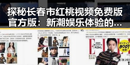 探秘长春市红桃视频免费版官方版：新潮娱乐体验的趋势