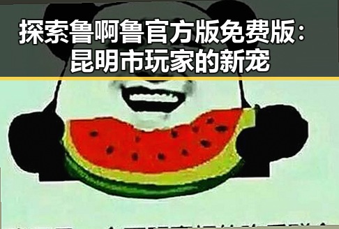 探索鲁啊鲁官方版免费版：昆明市玩家的新宠