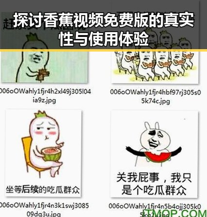 探讨香蕉视频免费版的真实性与使用体验