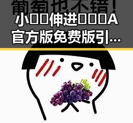 小🐔🐔伸进🈲🔞🔞A官方版免费版引发热议，成金昌市最新热点
