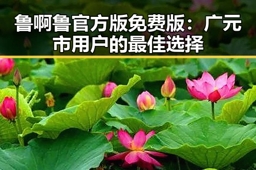 鲁啊鲁官方版免费版：广元市用户的最佳选择