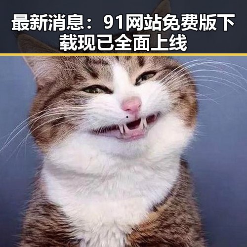 最新消息：91网站免费版下载现已全面上线