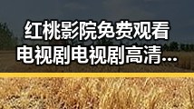 红桃影院免费观看电视剧电视剧高清官方免费版推荐