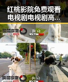红桃影院免费观看电视剧电视剧高清官方免费版推荐