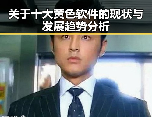 关于十大黄色软件的现状与发展趋势分析