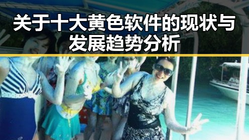 关于十大黄色软件的现状与发展趋势分析