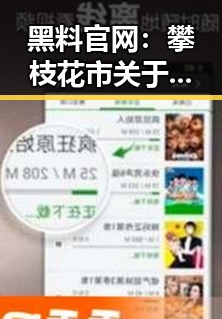 黑料 官网：攀枝花市关于娱乐圈最新爆料平台的现状分析