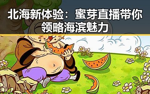 北海新体验：蜜芽直播带你领略海滨魅力