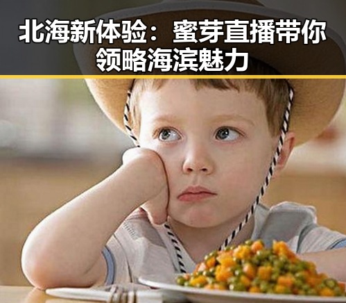 北海新体验：蜜芽直播带你领略海滨魅力