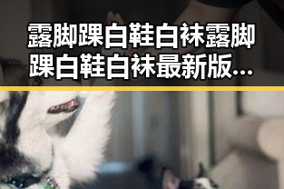 露脚踝白鞋白袜露脚踝白鞋白袜最新版：潮流搭配的新宠