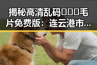 揭秘高清乱码🔞❌♋毛片免费版：连云港市的相关资源与现状