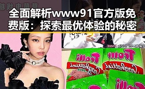 全面解析www91官方版免费版：探索最优体验的秘密