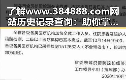 了解www.384888.com网站历史记录查询：助你掌握网站动态