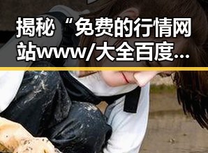 揭秘“免费的行情网站www/大全百度搜索”的实际应用与现状