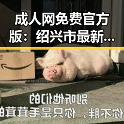 成人网免费官方版：绍兴市最新资源推荐