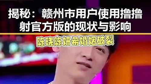 揭秘：赣州市用户使用撸撸射官方版的现状与影响