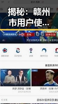 揭秘：赣州市用户使用撸撸射官方版的现状与影响