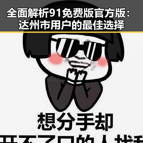 全面解析91免费版官方版：达州市用户的最佳选择