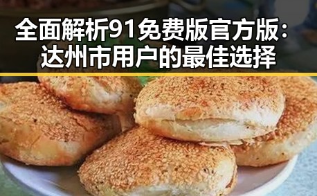 全面解析91免费版官方版：达州市用户的最佳选择