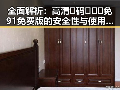 全面解析：高清🈚码🔞❌♋免91免费版的安全性与使用指南
