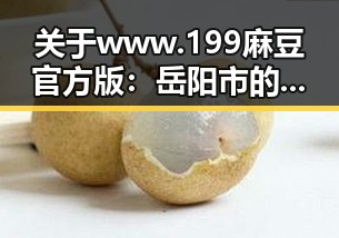 关于www.199麻豆官方版：岳阳市的最新动态与发展