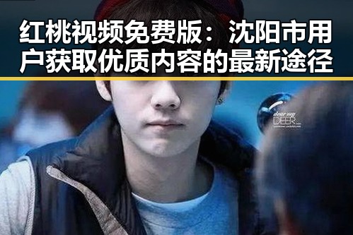 红桃视频免费版：沈阳市用户获取优质内容的最新途径