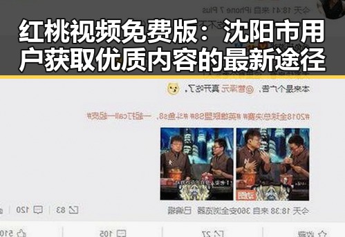 红桃视频免费版：沈阳市用户获取优质内容的最新途径