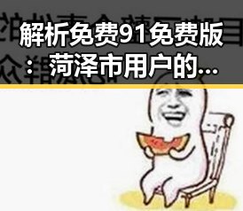 解析免费91免费版：菏泽市用户的最新选择